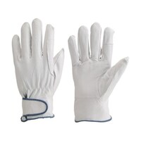 �i�j�P�W�r�@�����W���[�^��܁@���{�v���r