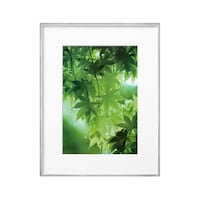 �y�d�q�n�t���[���@�f�|�O�P�@�`�S�@�V���o�[�@�e�y�f�O�P�|�`�S�r�u