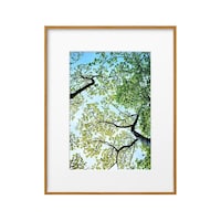 �e�y�f�O�P�|�`�S�m�s�@�y�d�q�n�t���[��