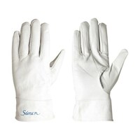 �b�f�V�P�T�l�@���{�v���