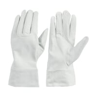 �S�V�S�k�@���\�v�@�N���X�g�J�t�X�t�@�k