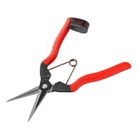 �j�|�P�O�@�z�H�@�Ԏ����@�P�W�T����