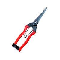 �i�|�P�Q�@�z�H�@�����@�Q�O�O����