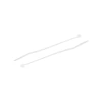 �����o���h�@�V�P�������P�D�U�@�����@�i�`