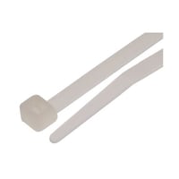 �����o���h�@�P�X�O�������S�D�W�@�����@�i