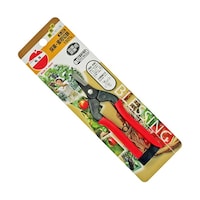 �r�|�Q�O�@�̉ԁE��������