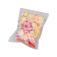 �P�X�P�X�R�P�O�@�t�����[�s�b�N�@�~�b�N�X