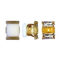 �����C���_�N�^�@�i�ʎ����j�@�P�W�@���g�@