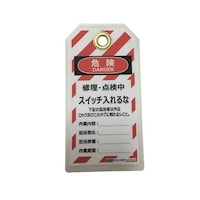 �i�Q�O�U�S�@�^�O�A�E�g�p�݃^�O