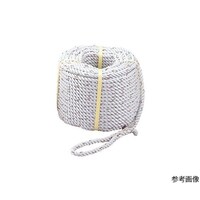 �q�|�P�S�Q�O�m�@�i�C�������[�v�O�b�ł�