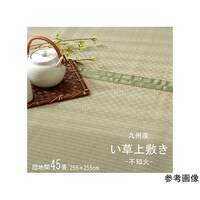 Y@@~@J[ybg@sD@wsm΁x@cnԂSDTiQTT~QTTj@F{YCgp@PSOOOPPOPPSOQ@P