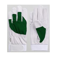 ؖ{܁@AX[g@O[@l@PP[XiPOoj@TWWV@US|WQXX|UX@PP[X