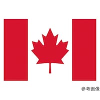 �����m���D�P�i�V�O�~�P�O�T�����j�@�J�i�_�@�S�P�U�Q�O�S�@�S�P�U�Q�O�S�@�P��