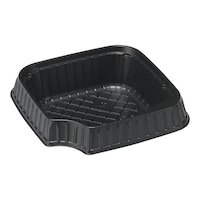 ���p���i�T�O���j