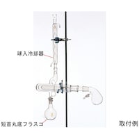 �A�u�f���n���f���@�i�P�O�R�S�j�@������p��@�R�O�O�������Q�S�^�S�O�@�b�k�O�O�P�O�|�O�Q�|�S�P�r�@�P�{