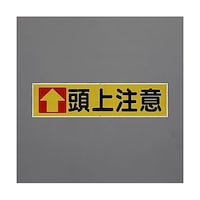 �P�W�O�O���S�T�O�����@�����i���㒍�Ӂj�@