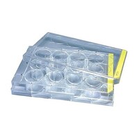 זE|{v[g@PQ@@ʃpbN@PZbgiSQ~Sj@XQPPQ@UT|RVXU|RV@PZbg