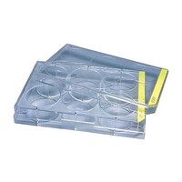 זE|{v[g@U@@VQ@XQSOU@UT|RVXU|TU@P