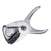 �`�l�@�X�e�����X�@�V�g���X�X�N�C�U�[�@�k