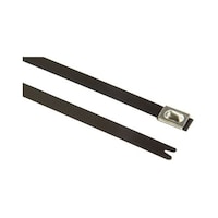 �����o���h�@�R�U�Q�����@���@�V�D�X�@����