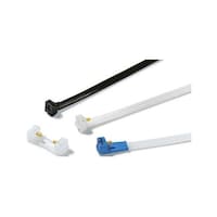 �����o���h�@�R�R�V�����@���@�W�@�����@�i