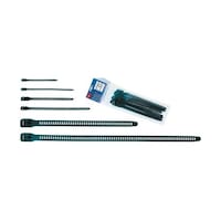 �����o���h�@�Q�U�O�����@���@�P�P�@�����@