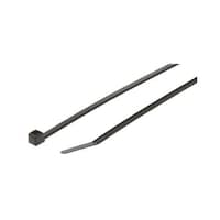 �����o���h�@�Q�U�O�����@���@�R�D�R�@����