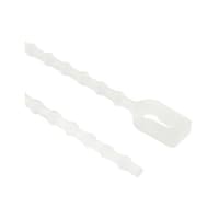 �����o���h�@�P�P�O�����@���@�Q�@�����@�i