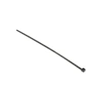 �����o���h�@�Q�T�O�����@���@�S�D�U�@����