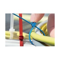 �����o���h�@�P�X�T�����@���@�S�D�V�@����