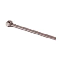 �����o���h�@�Q�T�O�����@���@�S�D�U�T�@��