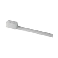 �����o���h�@�Q�P�O�����@���@�S�D�V�@����