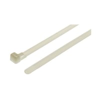 �����o���h�@�Q�T�O�����@���@�V�D�U�@�����@�i�`�������@�i�C�����@�U�U�@�P�܁i�P�O�O���j�@�P�R�P�|�Q�Q�T�P�X�@�q�d�k�Q�T�O�|�o�`�U�U�|�m�`�@�P�R�P�|�Q�Q�T�P�X�@�q�d�k�Q�T�O�|�o�`�U�@�P��