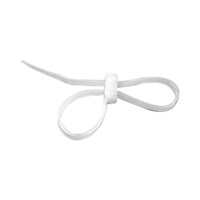 �����o���h�@�P�S�T�����@���@�S�D�V�@����