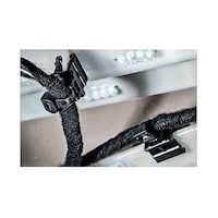 �����o���h�@�Q�O�O�����@���@�S�D�U�@����