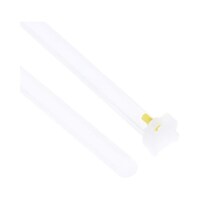 �����o���h�@�Q�P�O�����@���@�W�@�����@�i