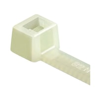 �����o���h�@�R�O�O�����@���@�S�D�U�@����