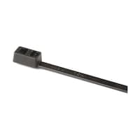 �����o���h�@�Q�P�O�����@���@�S�D�V�@����