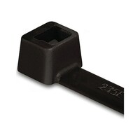 �����o���h�@�V�U�O�������V�D�U�����@���@