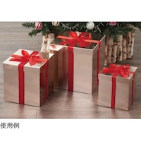 �v���[���g�{�b�N�X�y�N���X�}�X�c���[����