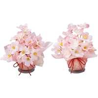 �a���{�[�����b�v�@�Q�Z�b�g�@�Q�R�|�X�|�W�|�P�@�Q�R�|�X�|�W�|�P�@�P�Z�b�g