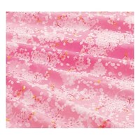 �f�B�X�v���C�V�[�g������@�X�O�������~�Q