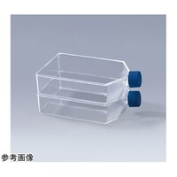 זE|{tXR@QQTQ@V|{p@xgLbv@T~TpbNiQT^jbdkbtefOOTQQTr@bdkbtefOOTQQTr@P