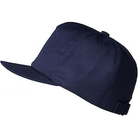 ��Ɨp�ی�X�@�������������@�i�n�a�@�J�[�{�����b�V���@�l�C�r�[�@�Q�U�O�U�@�Q�U�O�U�@�P��