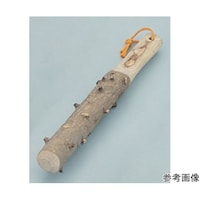 񂵂傤肱_@@QV|SOWi