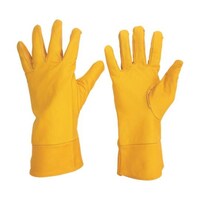 ���\�v��܁@�l�s�|�P�S�@�L�����^�@���@�b