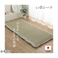 �����V�[�c�@�u���[�@�Z�~�_�u���@��P�P�O