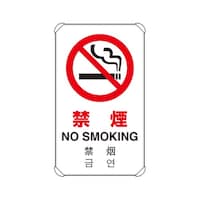 �S�J����W���@�����u�^�C�v�@�։��@�W�R�R�|�X�O�R�@�W�R�R�|�X�O�R�@�P��