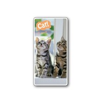 tHgWCV[@˂@XPT|SQa@XPT|SQa@P