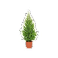 tHgWCV[@S[hNXg@XPT|TW@XPT|TW@P